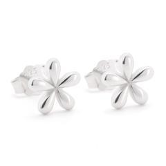 Strieborné náušnice